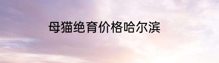 母猫绝育价格哈尔滨