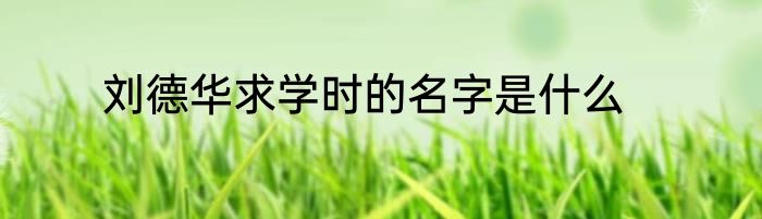 刘德华求学时的名字是什么