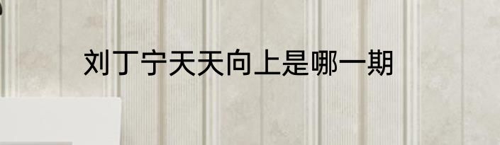 刘丁宁天天向上是哪一期