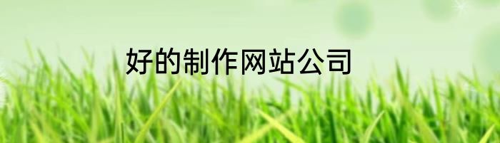 好的制作网站公司