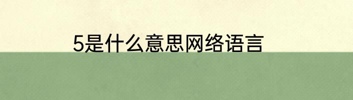 5是什么意思网络语言