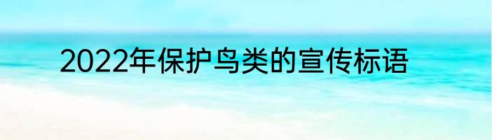 2022年保护鸟类的宣传标语