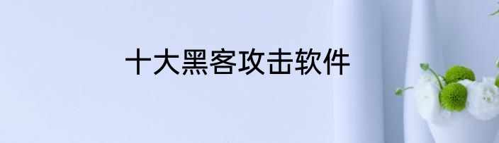 十大黑客攻击软件