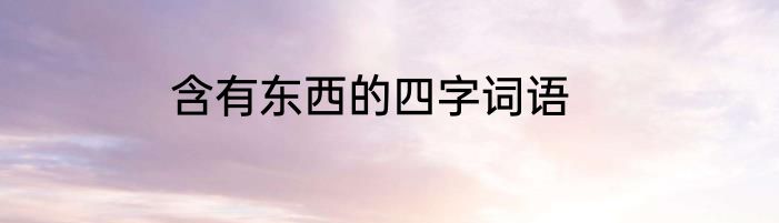 含有东西的四字词语