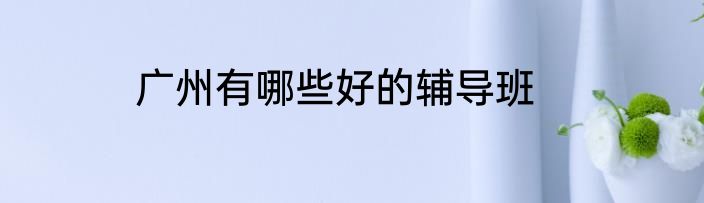 广州有哪些好的辅导班