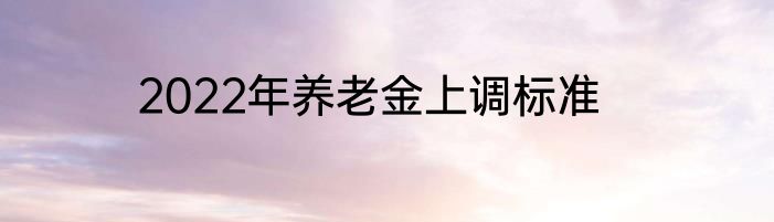 2022年养老金上调标准