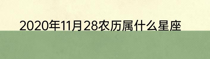 2020年11月28农历属什么星座