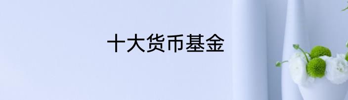 十大货币基金