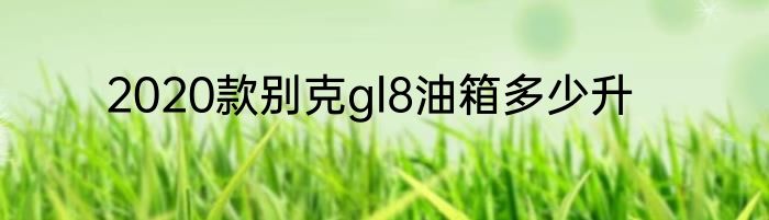 2020款别克gl8油箱多少升