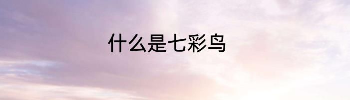 什么是七彩鸟