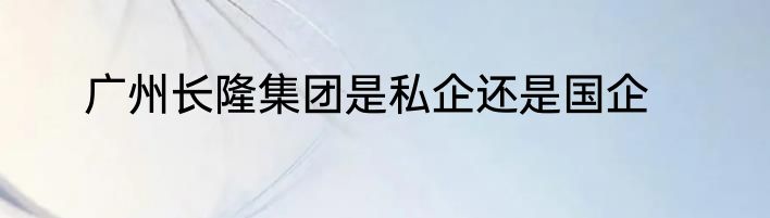 广州长隆集团是私企还是国企
