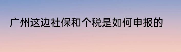 广州这边社保和个税是如何申报的