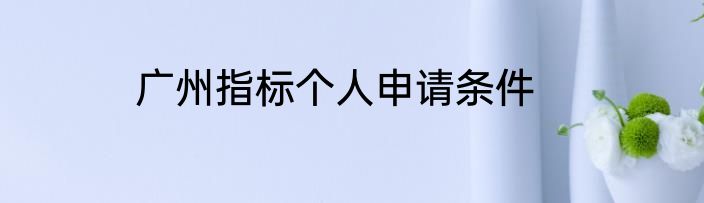 广州指标个人申请条件