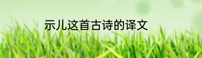 示儿这首古诗的译文