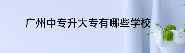 广州中专升大专有哪些学校