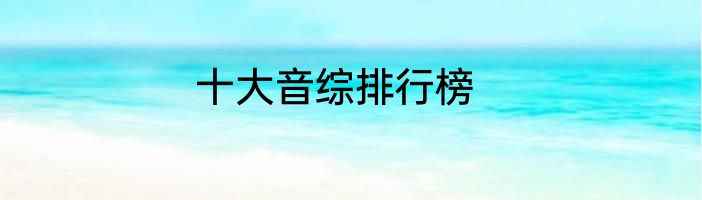 十大音综排行榜