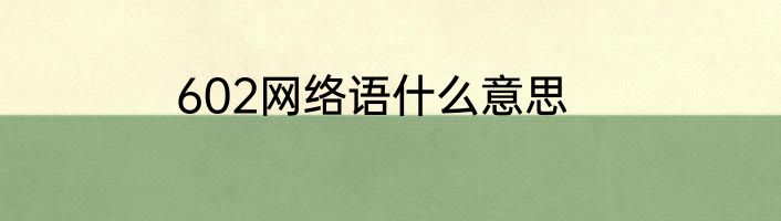 602网络语什么意思