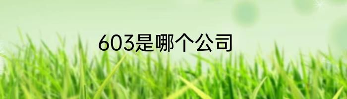603是哪个公司
