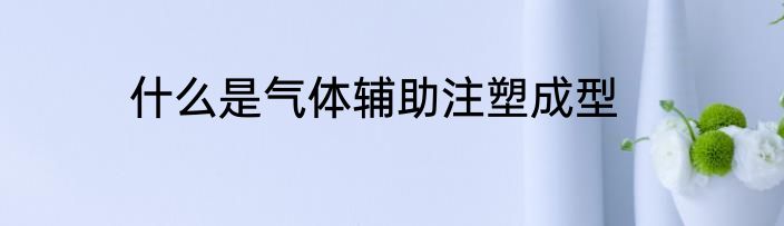 什么是气体辅助注塑成型