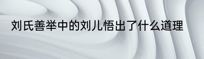 刘氏善举中的刘儿悟出了什么道理