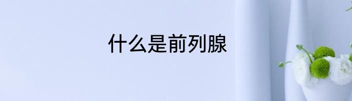 什么是前列腺