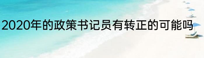 2020年的政策书记员有转正的可能吗