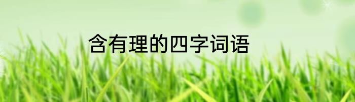 含有理的四字词语