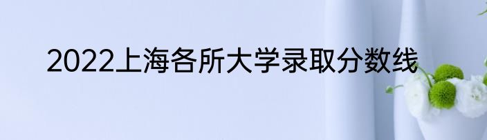 2022上海各所大学录取分数线