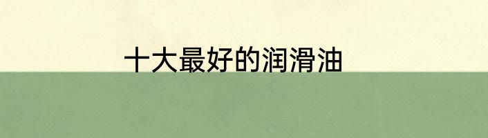 十大最好的润滑油