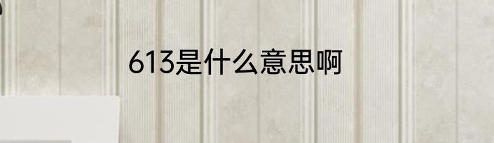 613是什么意思啊