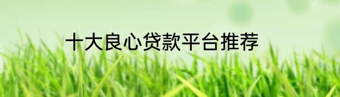 十大良心贷款平台推荐