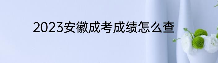2023安徽成考成绩怎么查