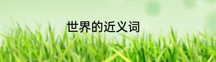 世界的近义词