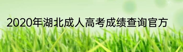 2020年湖北成人高考成绩查询官方