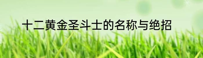 十二黄金圣斗士的名称与绝招