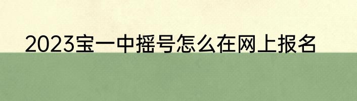 2023宝一中摇号怎么在网上报名