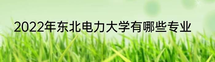 2022年东北电力大学有哪些专业