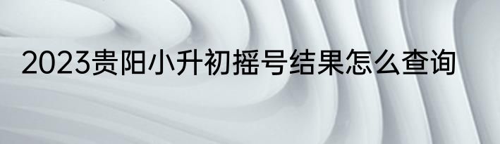 2023贵阳小升初摇号结果怎么查询