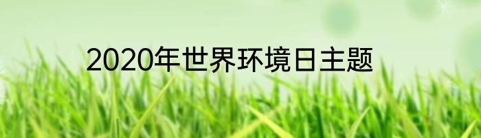 2020年世界环境日主题