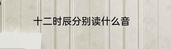 十二时辰分别读什么音
