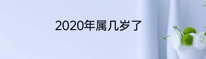 2020年属几岁了