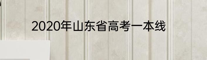 2020年山东省高考一本线
