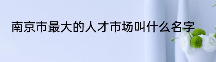 南京市最大的人才市场叫什么名字
