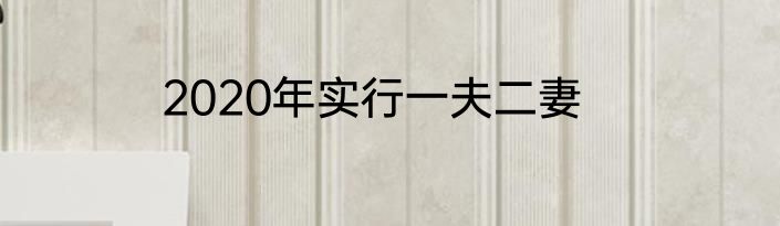2020年实行一夫二妻