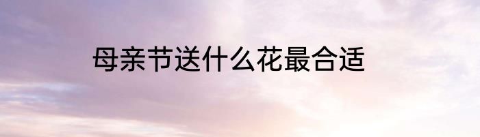 母亲节送什么花最合适