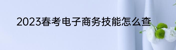 2023春考电子商务技能怎么查