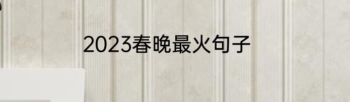 2023春晚最火句子