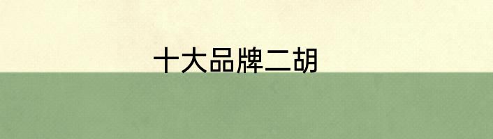 十大品牌二胡