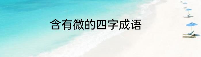 含有微的四字成语