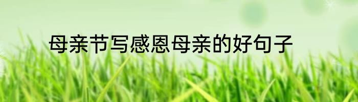 母亲节写感恩母亲的好句子